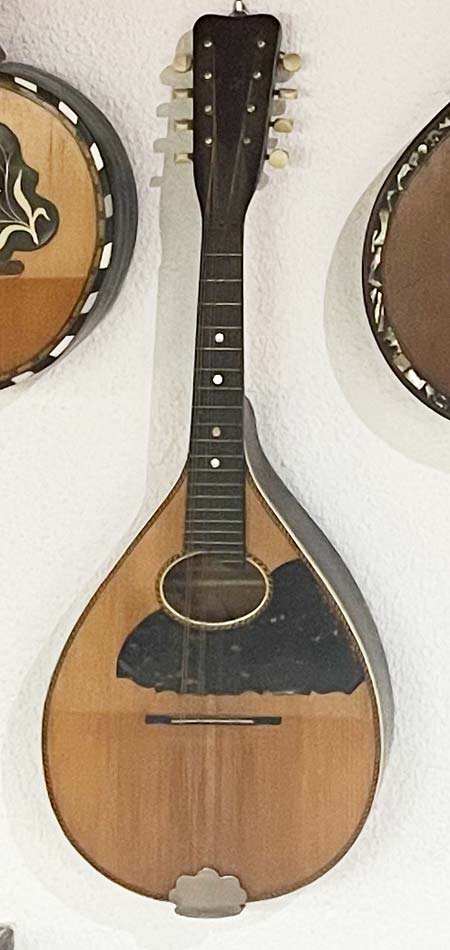 Foto de la mandolina