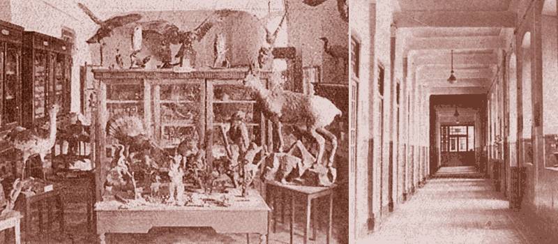 Museo y pasillo